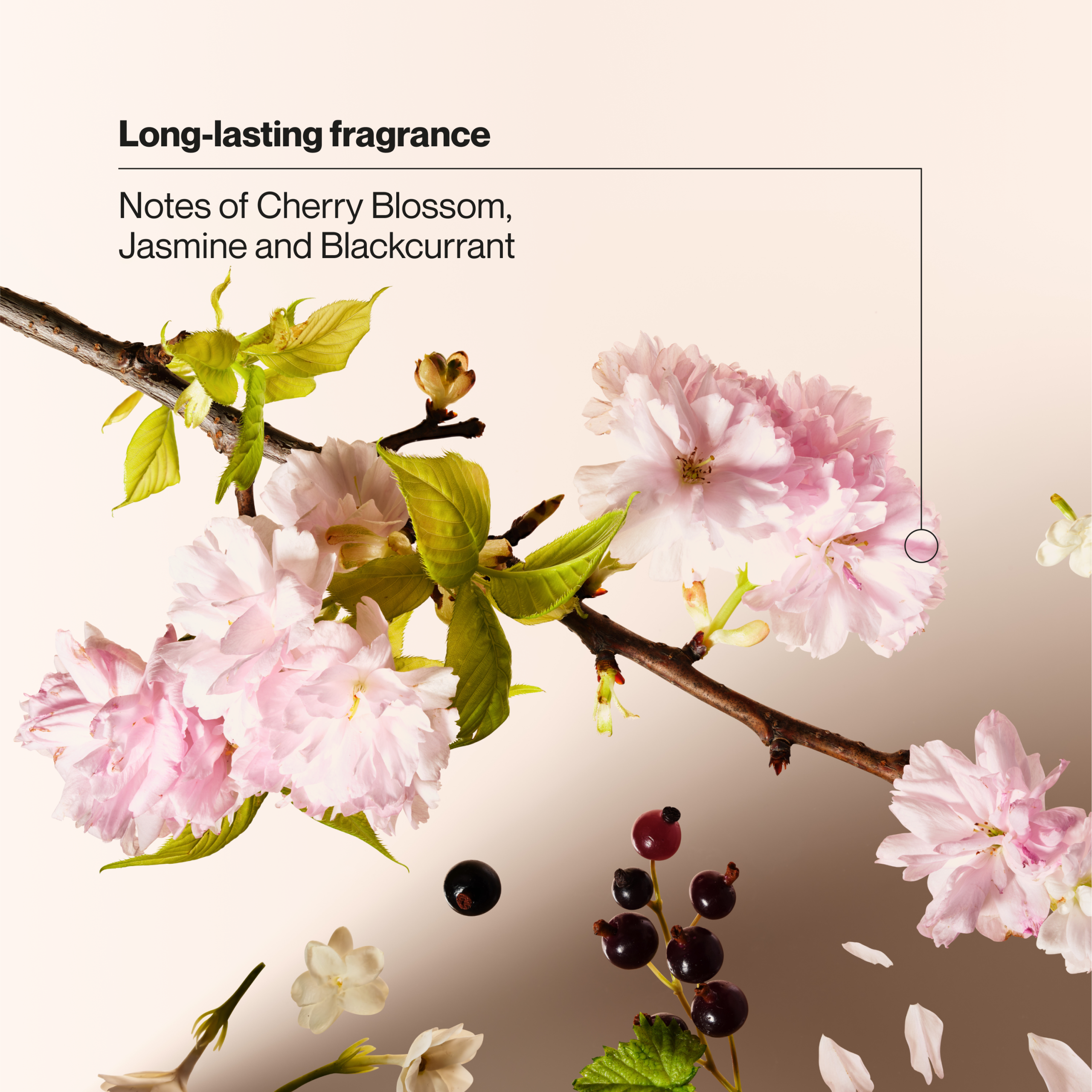 Wild Cherry Blossom Invisible Solid Antiperspirant Deodorant Stick - Image 5