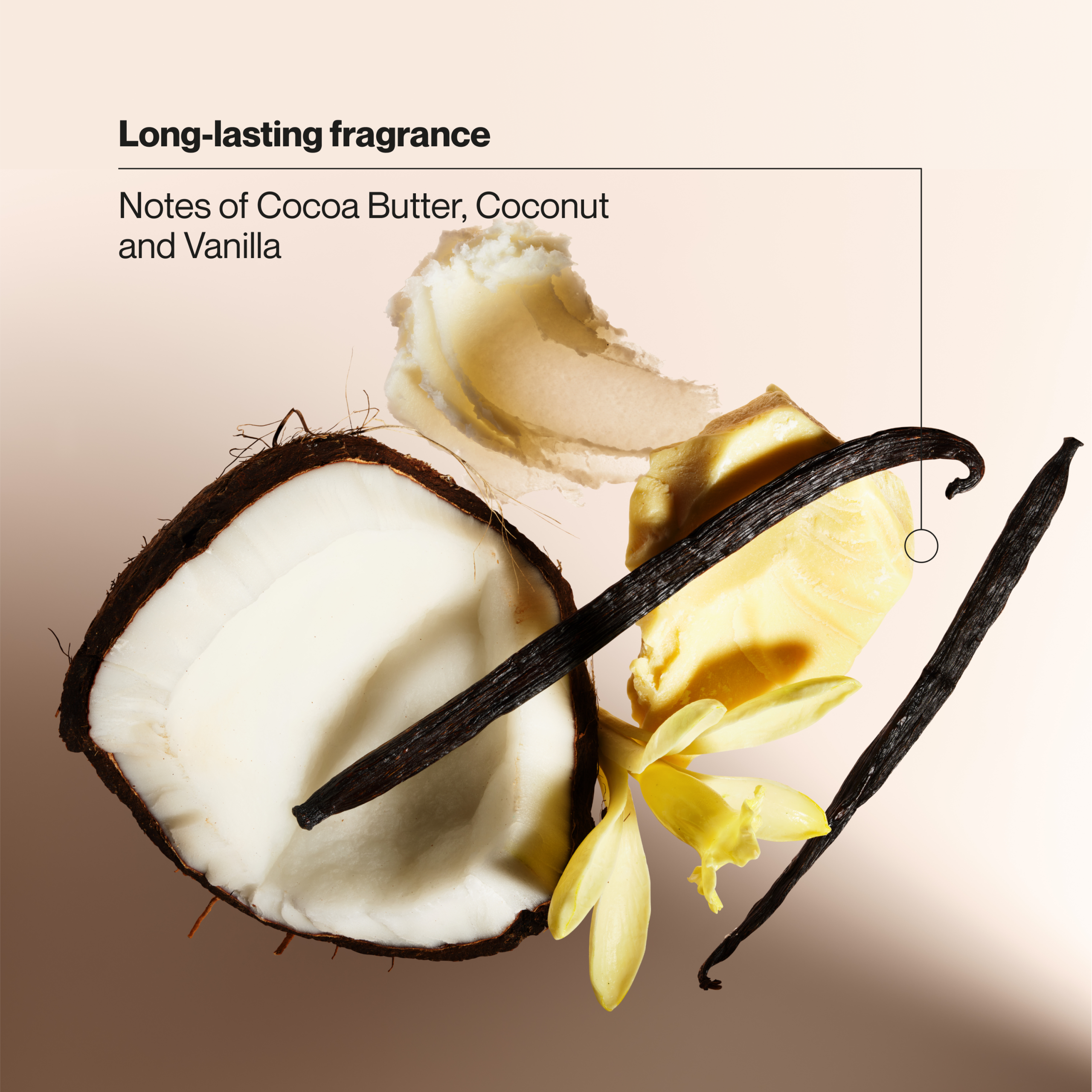 Cocoa Butter & Shea Invisible Solid Antiperspirant Deodorant - Image 5