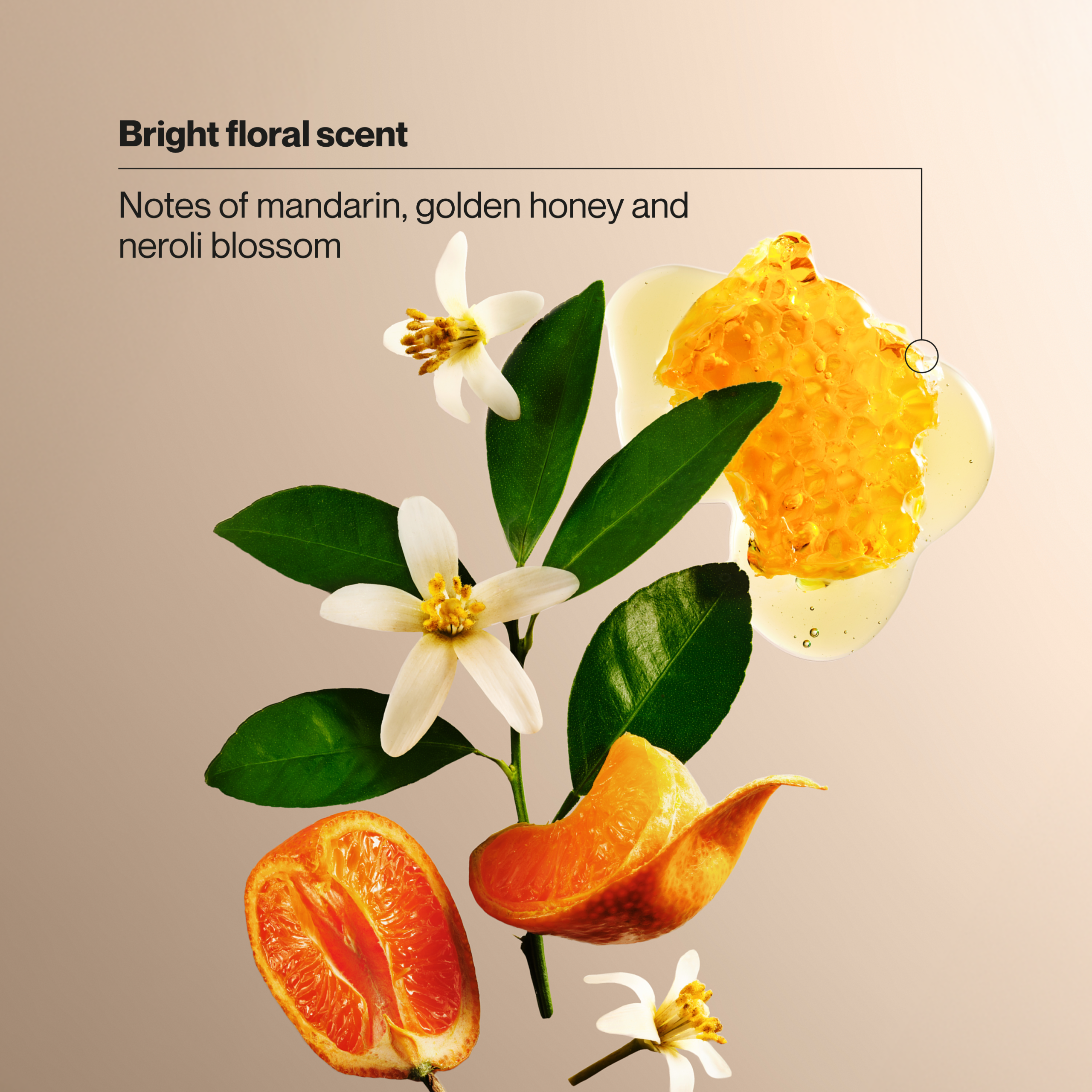 Citrus Blossom Exfoliating Body Wash & Scrub - Image 4