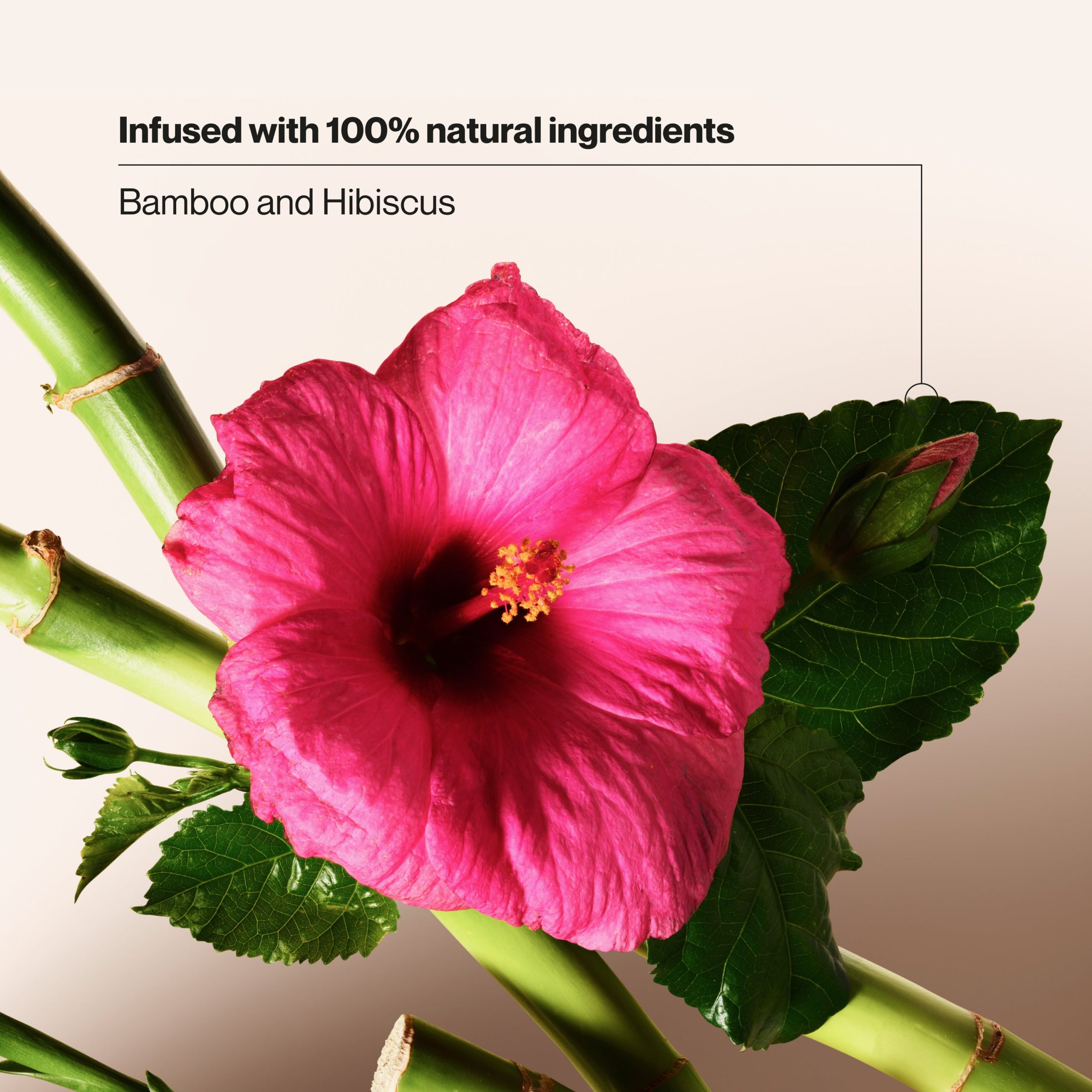 Bamboo & Hibiscus Volumizing Shampoo - Image 5