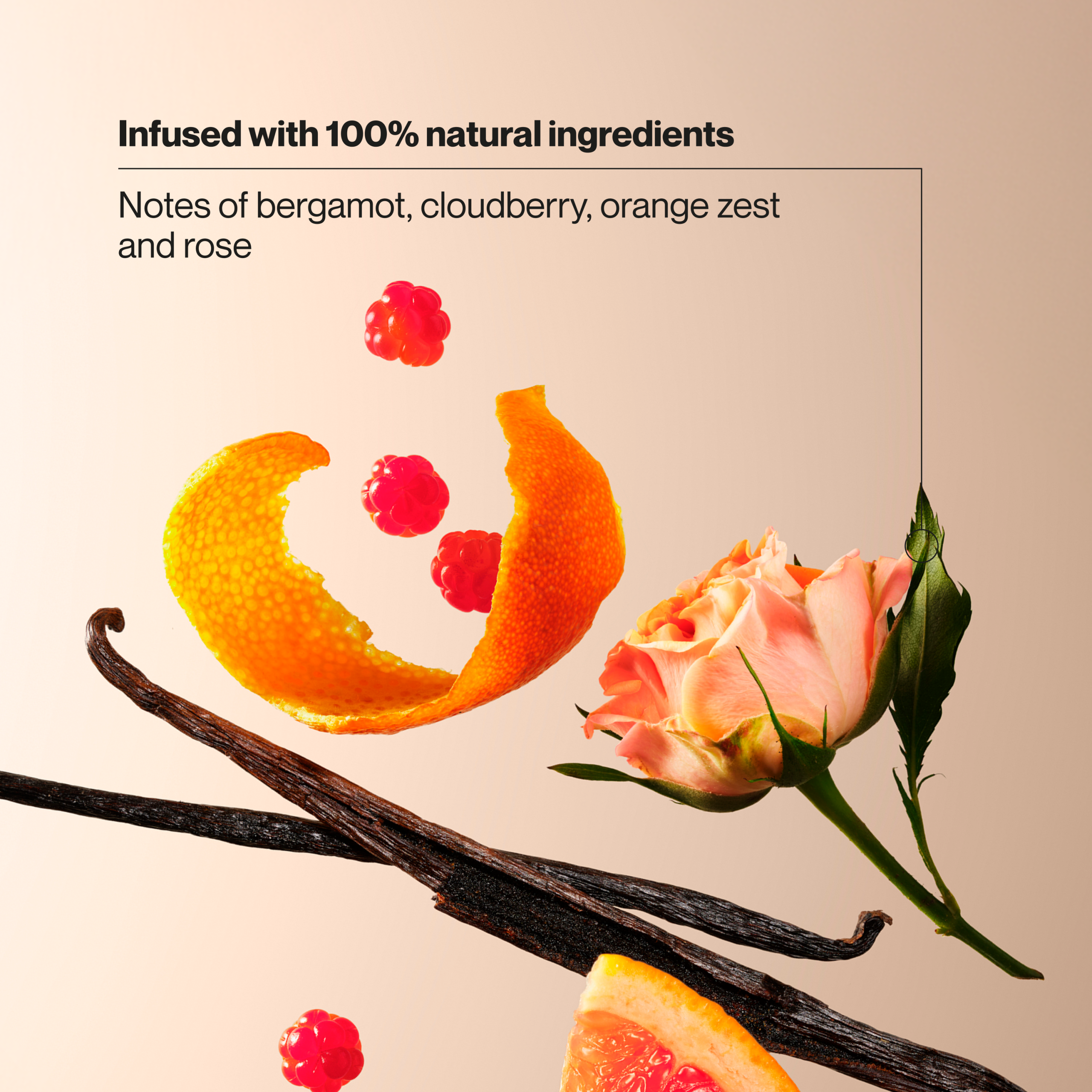 Fresh Citrus & Vanilla Lightweight Dry Shampoo - Image 4